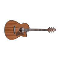 Ibanez AAM54CE-OPN Acoustic Steel Guitar
