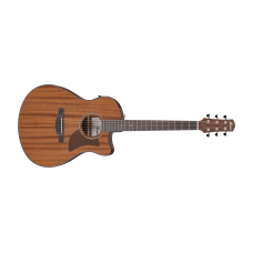 Ibanez AAM54CE-OPN Acoustic Steel Guitar