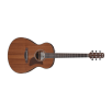 Ibanez AAM54-OPN Acoustic Steel Guitar 