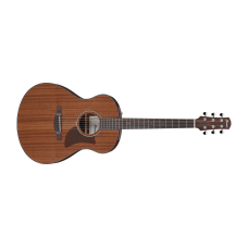 Ibanez AAM54-OPN Acoustic Steel Guitar 