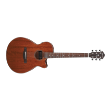 Ibanez AEG220-LGS Acoustic Guitar