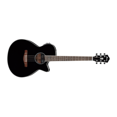 Ibanez AEG10II-BK Acoustic Guitar