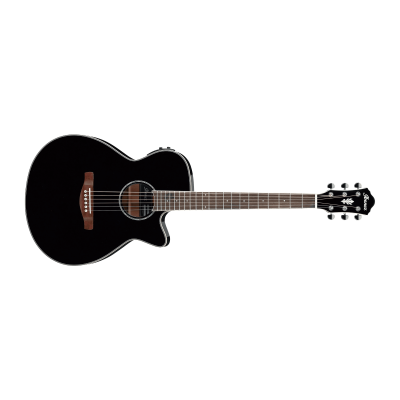 Ibanez AEG10II-BK Acoustic Guitar