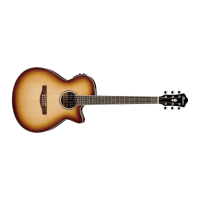 Ibanez AEG10II-NNB Acoustic Guitar