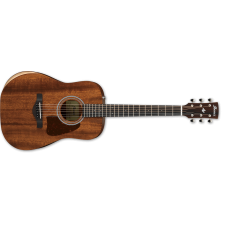 Ibanez AW54JR-OPN Artwood Acoustic Guitar