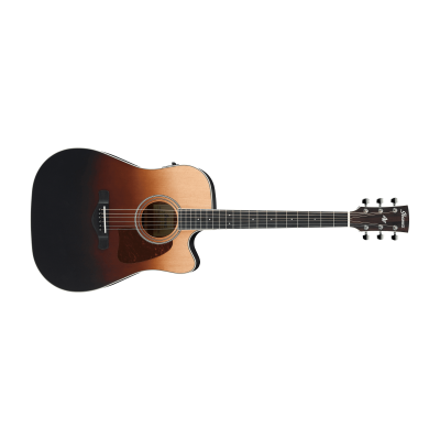 Ibanez AW80CE-BLG Acoustic Guitar