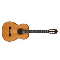 Ibanez G500-NT Classical Guitar