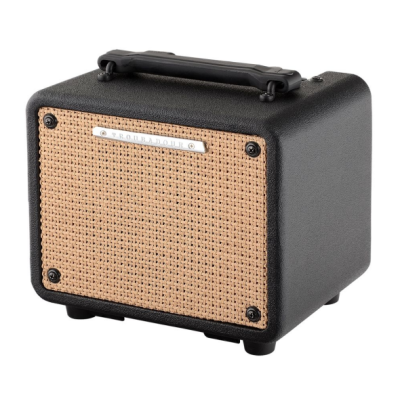 Ibanez Troubadour T80N 80W Acoustic Guitar Combo Amplifier Ibanez Troubadour T80N 80W Acoustic Guitar Combo Amplifier