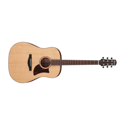 Ibanez AAD100-OPN Acoustic Guitar