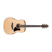 Ibanez AAD50-LG Acoustic Guitar