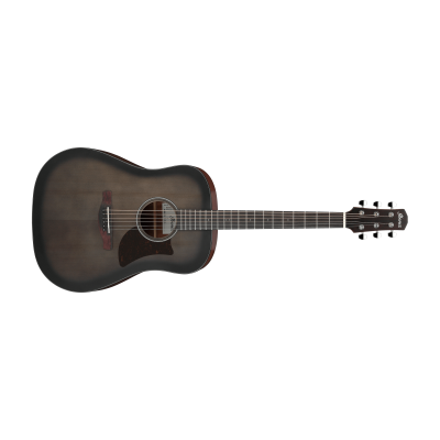 Ibanez AAD50-TCB Acoustic Guitar