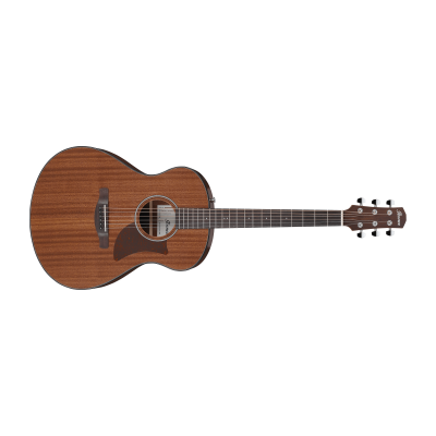 Ibanez AAM54-OPN Acoustic Steel Guitar 