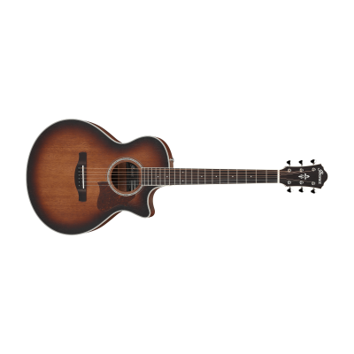 Ibanez AE240JR-MHS Acoustic Guitar Ibanez AE240JR-MHS Acoustic Guitar