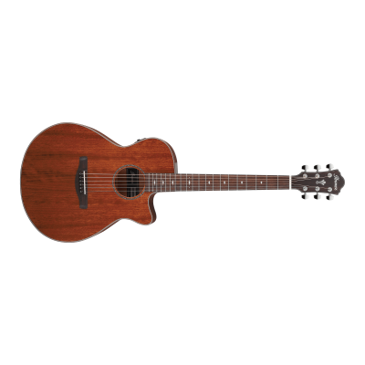 Ibanez AEG220-LGS Acoustic Guitar