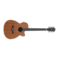 Ibanez AEG7MH-OPN Acoustic Guitar