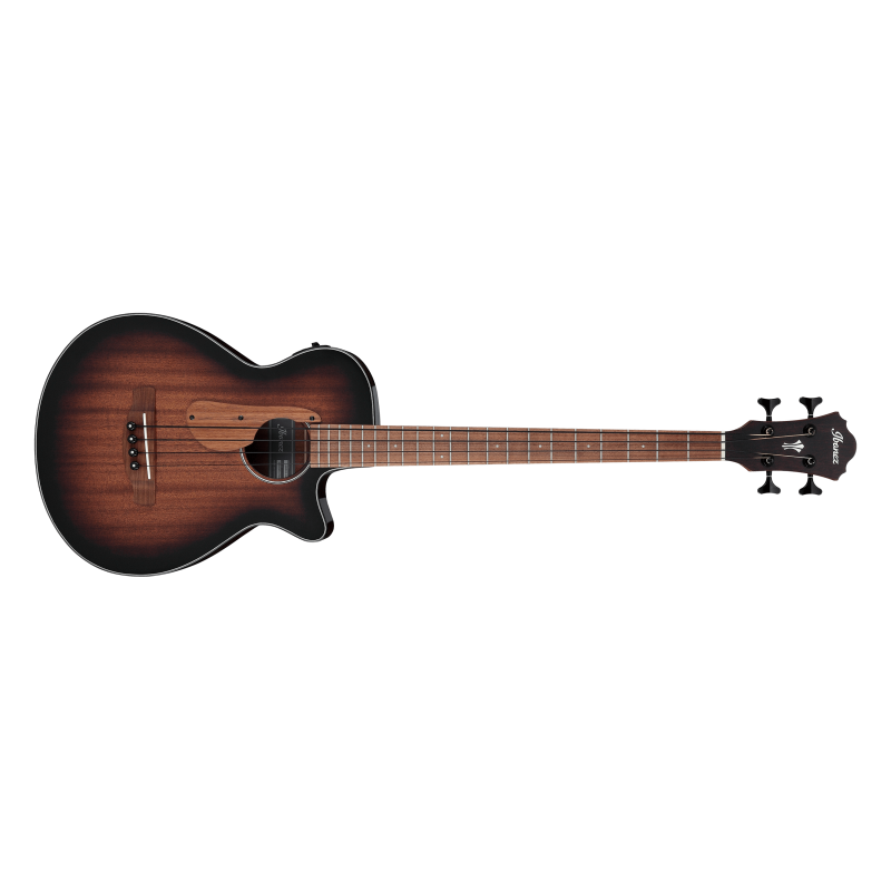 AEGB24E-MHS | Acoustic Bass - Ibanez