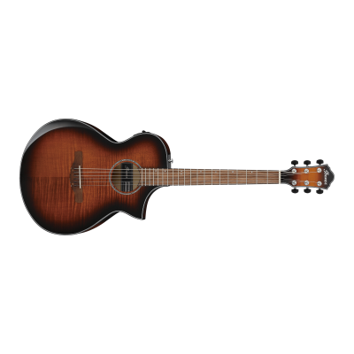 Ibanez AEWC400-AMS Acoustic Guitar Ibanez AEWC400-AMS Acoustic Guitar