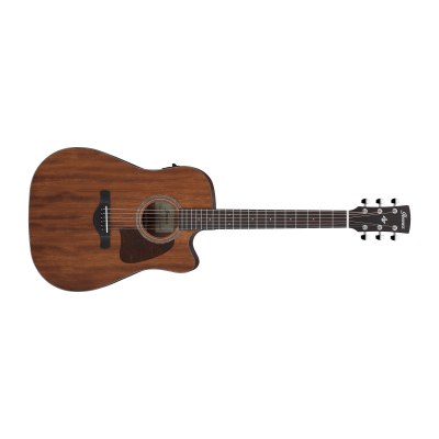 Ibanez AW247CE-OPN Acoustic Guitar