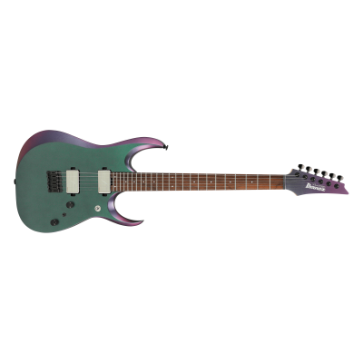 Ibanez RGD3121-PRF Prestige MADE IN JAPAN Electric Guitar Ibanez RGD3121-PRF Prestige MADE IN JAPAN Electric Guitar