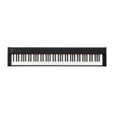 KORG D1 Stage piano w/ Damper Pedal