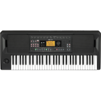 KORG EK-50 61-key Entertainment Keyboard