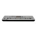 KORG NAUTILUS 61 AT - 61 GR - 61-key Music Workstation with Aftertouch, Limited Edition Grey