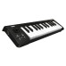 KORG microKEY 25 USB MIDI Keyboard