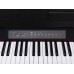 MEDELI CP203 BK - Compact Digital Piano, Black
