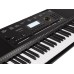 MEDELI M361 - 61 keys (Standard Touch Sensitive Keys STK)