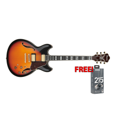 Ibanez AS113-BS Artstar Series Ibanez AS113-BS Artstar Series