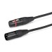 Samson RSXM10A Active Stage Monitor (free TM25 microphone cable)